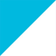 Institut Mines-Telecom Business School logo